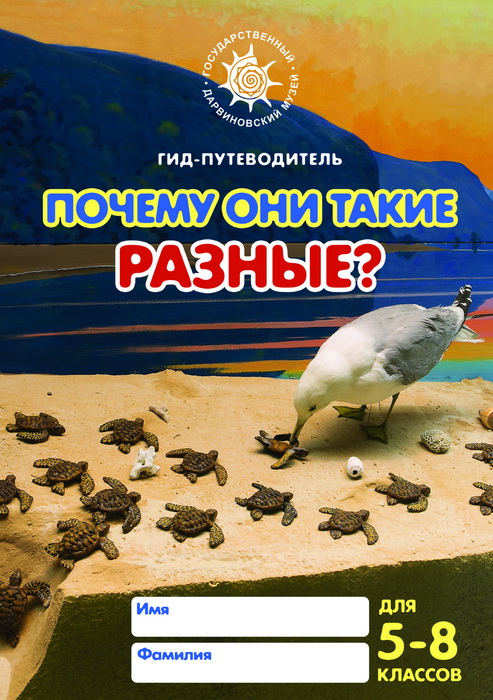 Почему они такие разные (5—8 кл.)